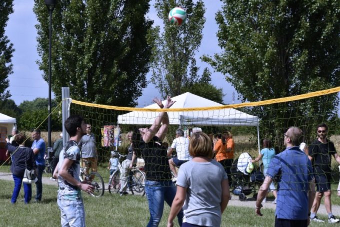 Sport